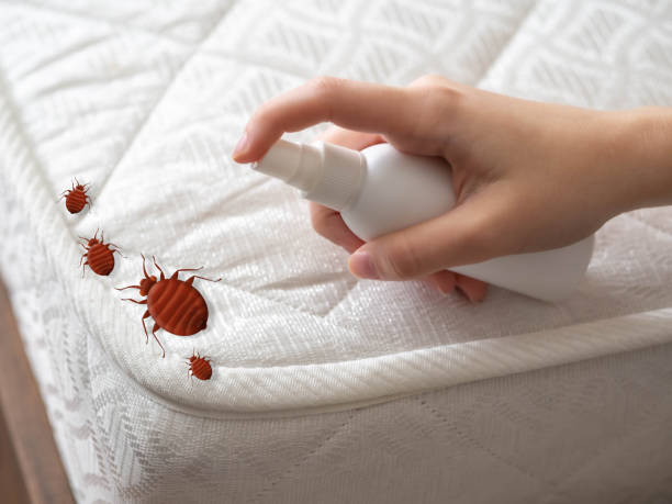 Best Best Pest Control Companies  in Janesville, WI