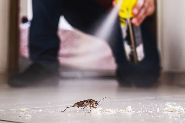 Wildlife Control Services in Janesville, WI