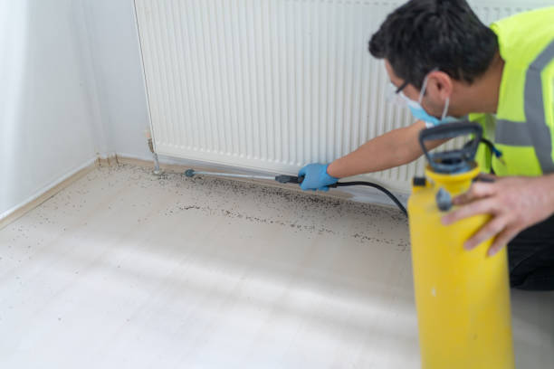 Best Wasp Removal Services  in Janesville, WI