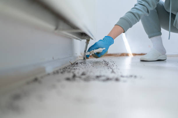 Best Spider Control Near Me  in Janesville, WI