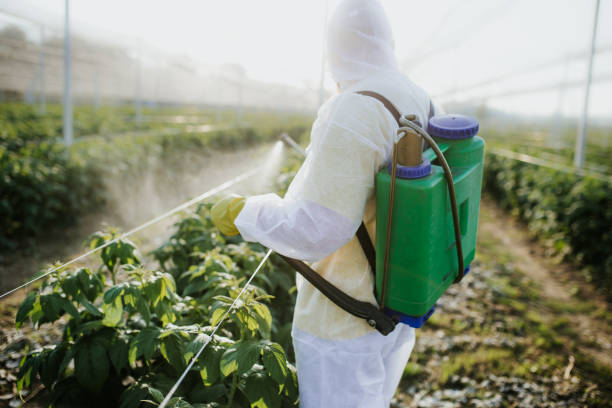 Best Commercial Pest Control Services  in Janesville, WI